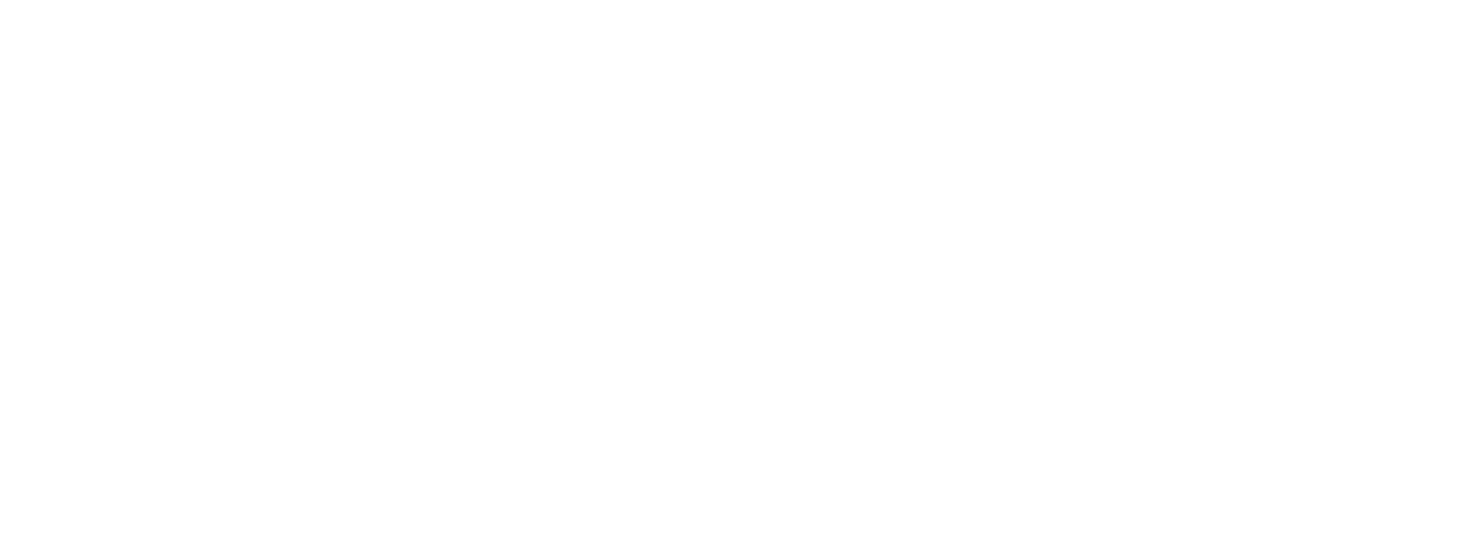 FeGuard FeGuard